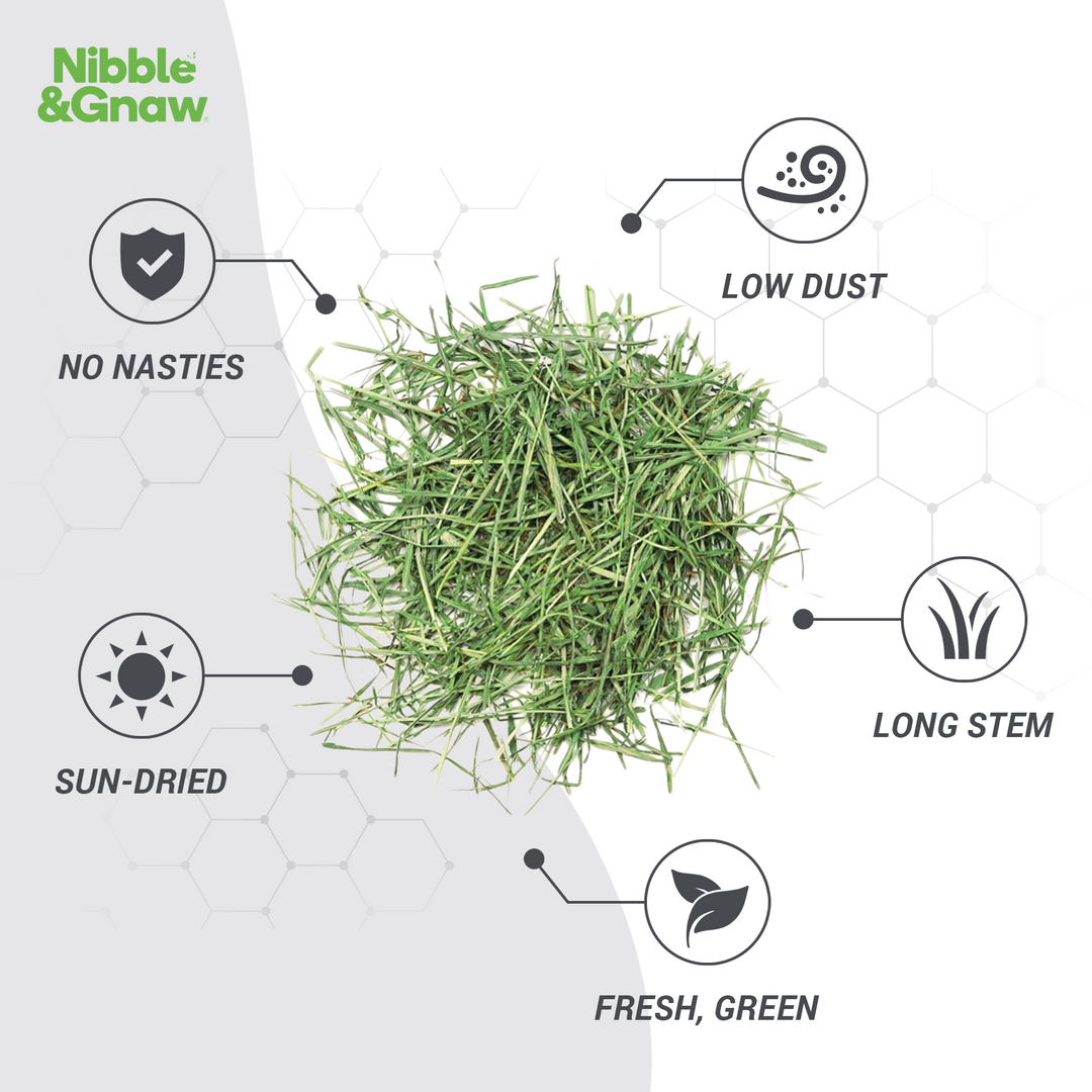 Best of Both - Ultra Premium Canadian Timothy Hay for Rabbits and Guinea Pigs
