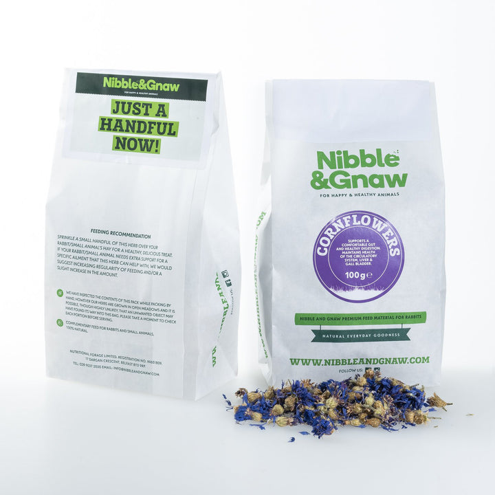 Cornflowers for Rabbits, Guinea Pigs and Small Animals