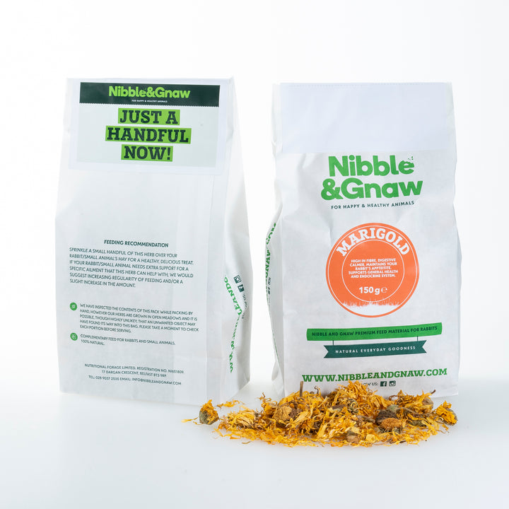 Pot Marigold Flowers for Rabbits, Guinea Pigs and Small Animals