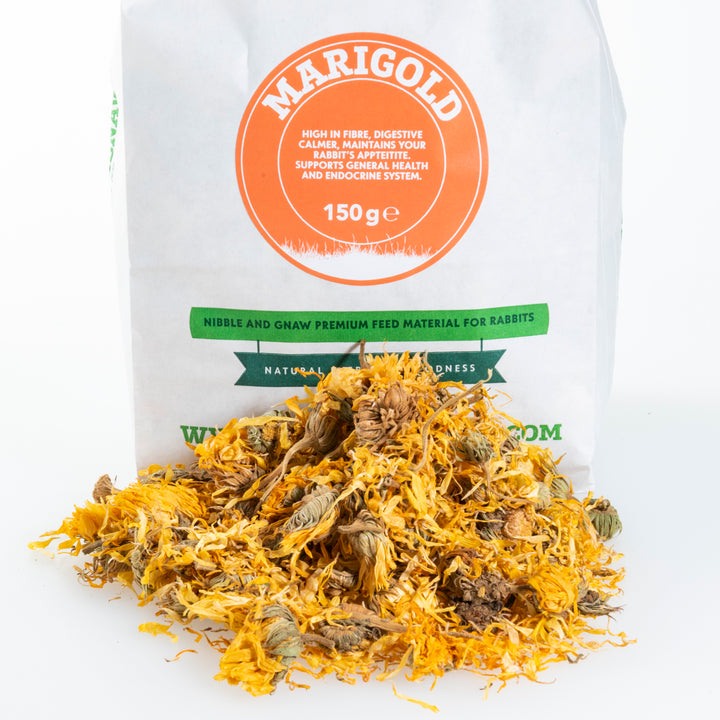 Pot Marigold Flowers for Rabbits, Guinea Pigs and Small Animals
