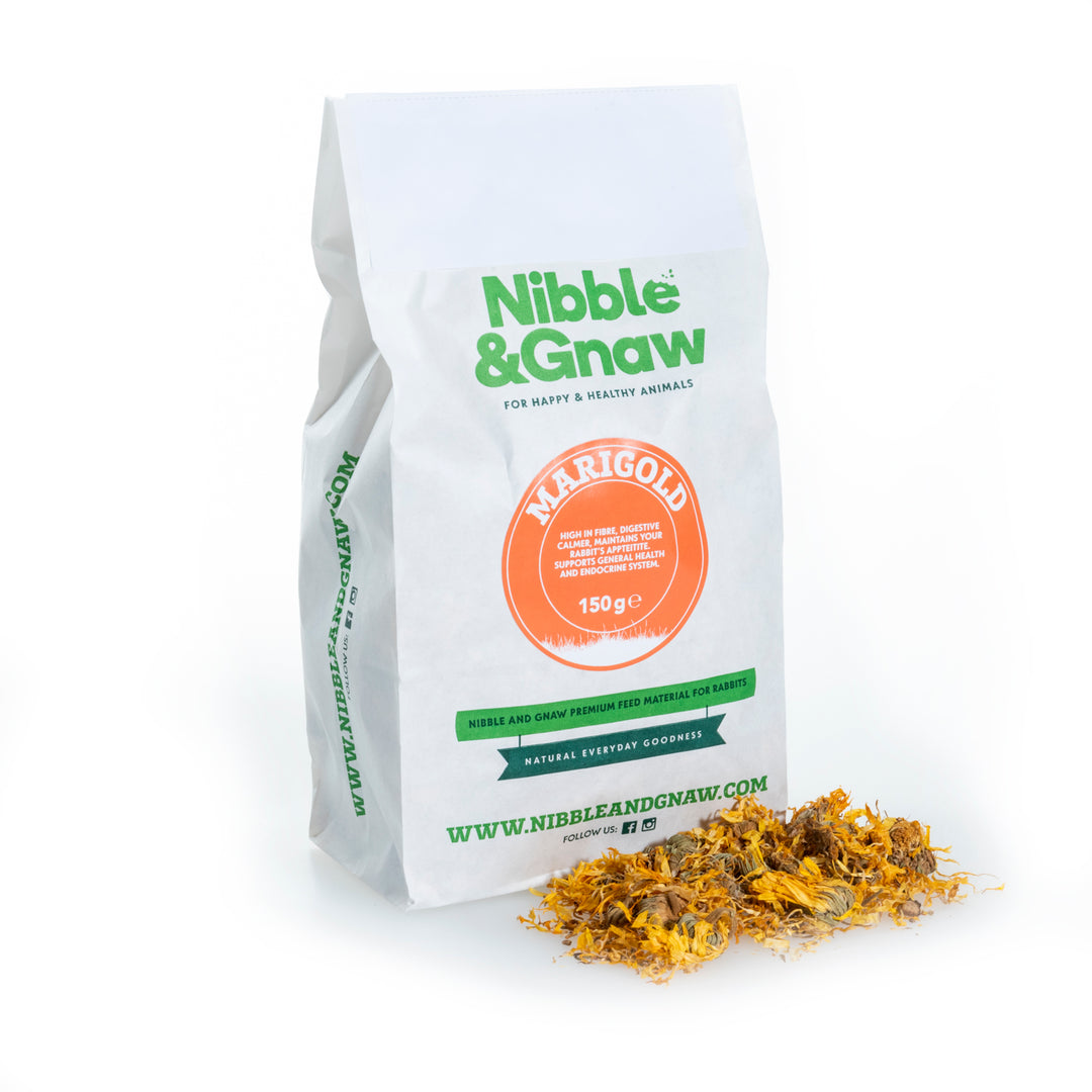 Pot Marigold Flowers for Rabbits, Guinea Pigs and Small Animals