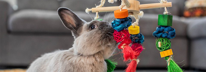 The Nibbler's 2026 Wellness Checklist 📝