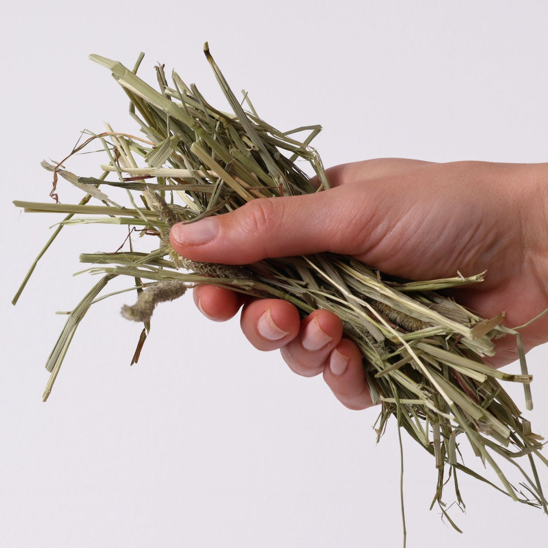 Nibble & Gnaw Ultra Premium Timothy Hay Sample Box (Includes First & Second Cut)