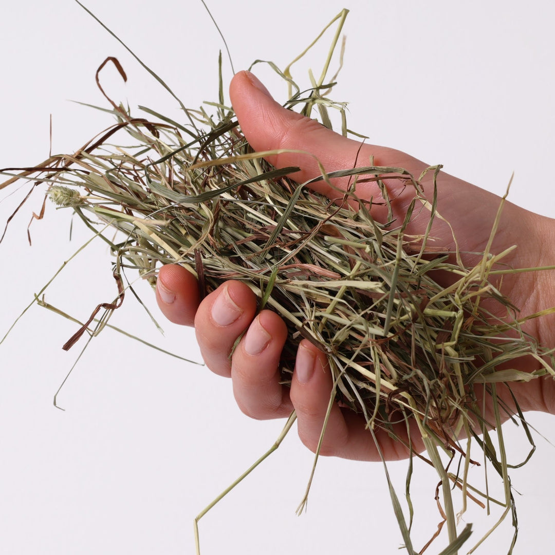 Nibble & Gnaw Ultra Premium Timothy Hay Sample Box (Includes First & Second Cut)