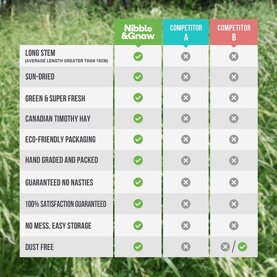 View of Best Hay for Guinea Pigs UK & Ireland | High-Fibre Feed – Nibble&Gnaw