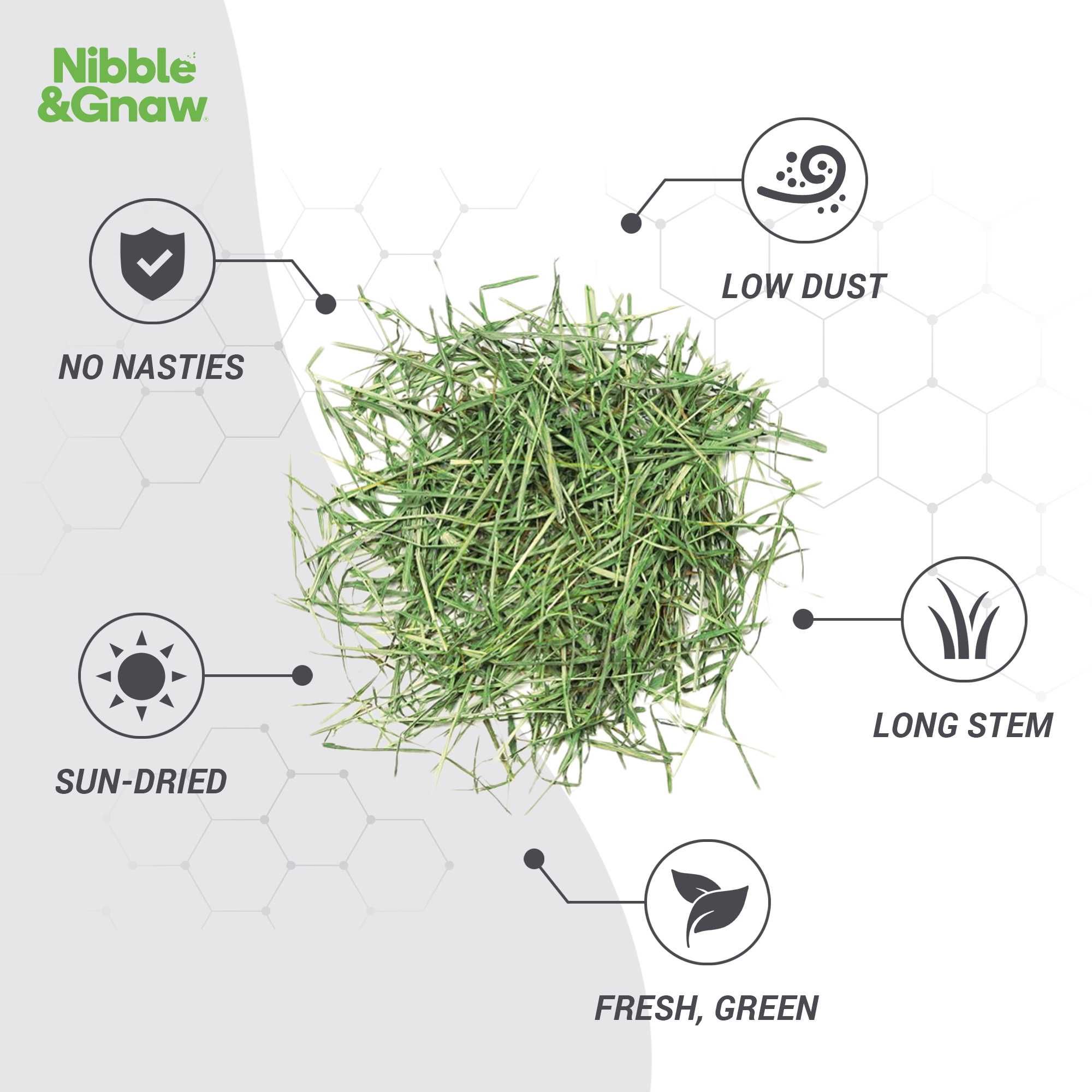 Best of Both - Ultra Premium Canadian Timothy Hay for Rabbits and Guinea Pigs