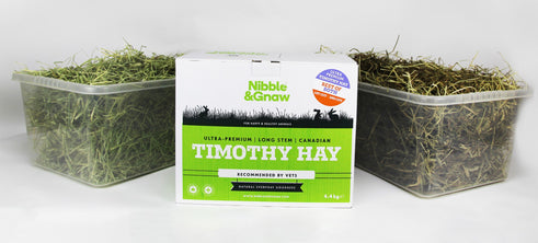 Best of Both - Ultra Premium Canadian Timothy Hay for Rabbits and Guinea Pigs