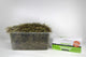 Second Cut Timothy Hay - Ultra Premium Canadian Hay for Rabbits and Guinea Pigs